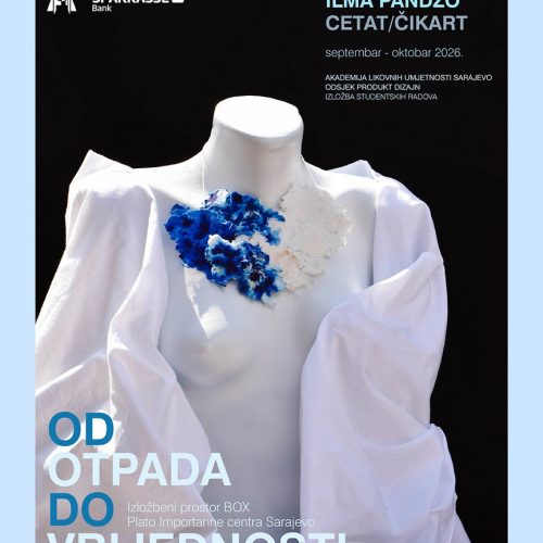 011_Ilma Pandzo_ALUxSparkasse_vizual