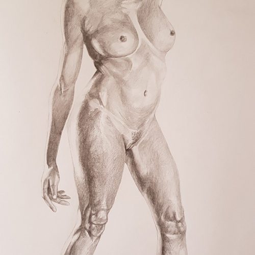 Imran Muratagic - Ženska figura - olovka na papiru - 66x50 cm